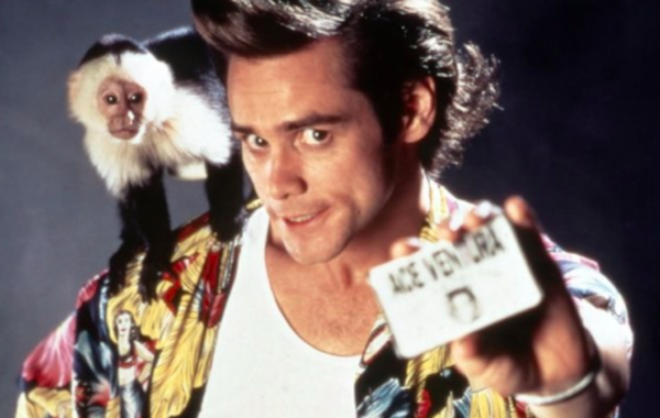 ace ventura costume wig